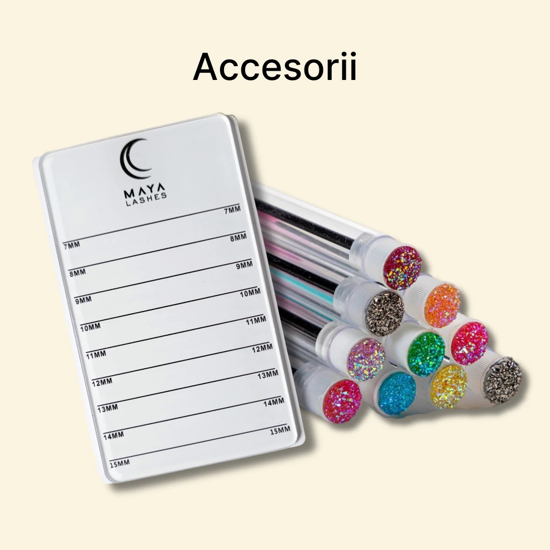 Accesorii
